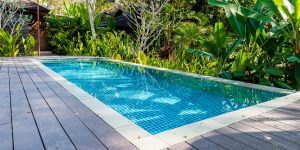 12. kolam renang bernuansa alam tropis
