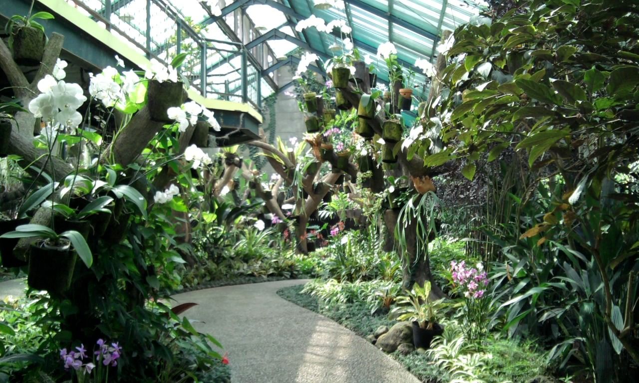 Taman Minimalis Dalam Rumah Tropis