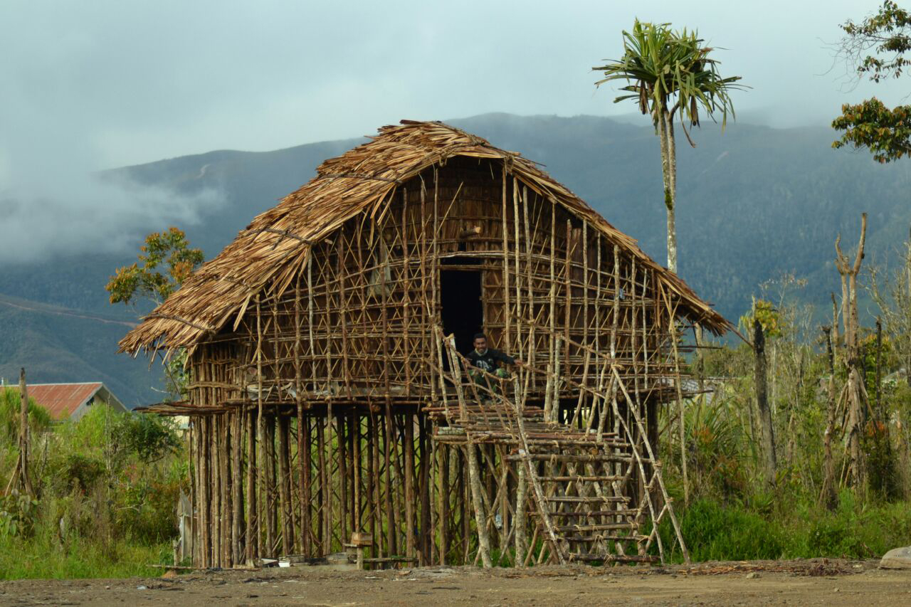Keunikan Rumah Kaki Seribu Rumah Adat Papua Yang Khas