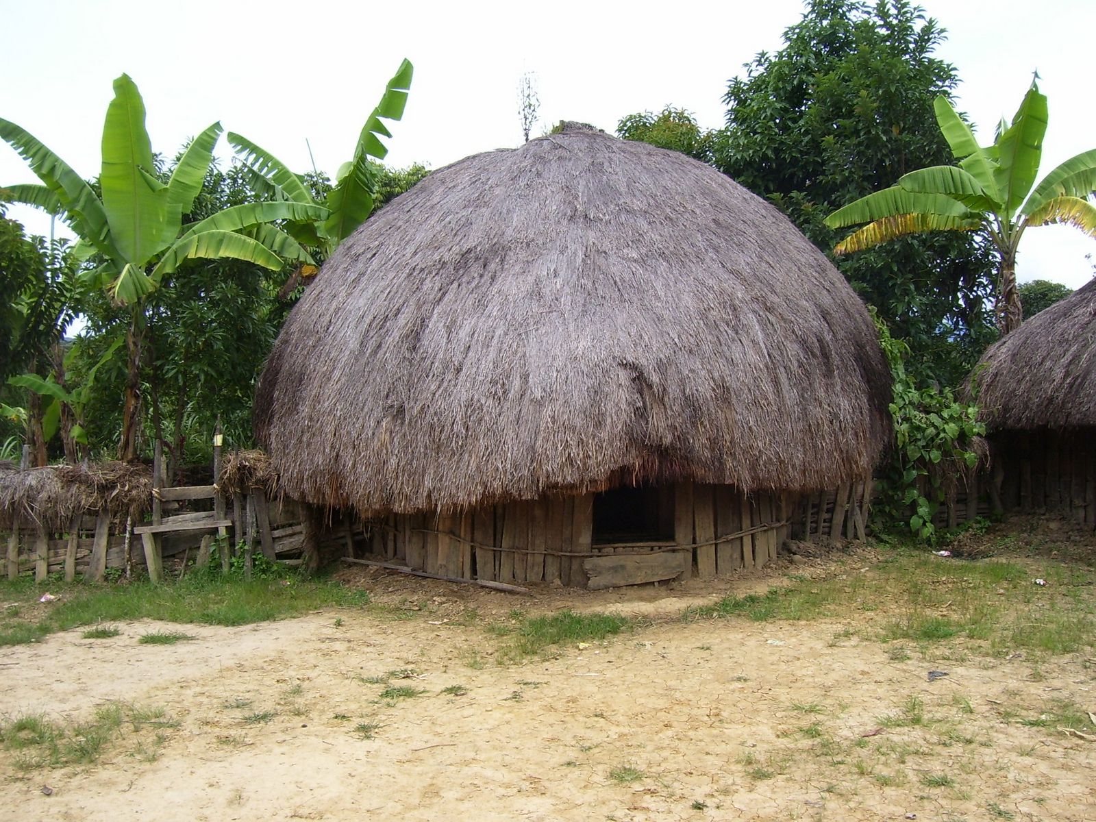 Mengenal Rumah Adat Honai Khas Papua Yang Unik