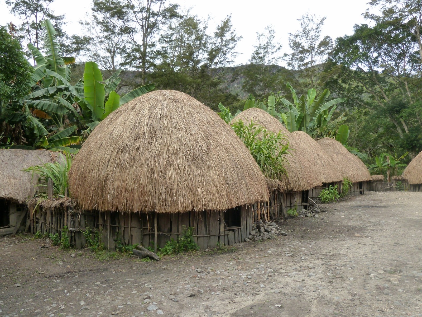 Rumah Adat Papua yang Hampir Punah