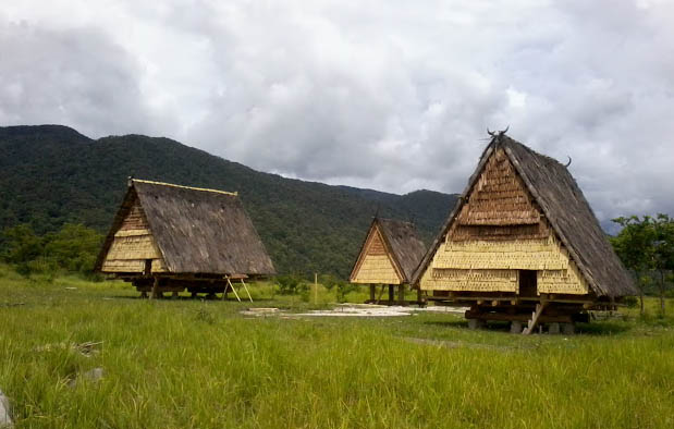Rumah Khas Sulawesi Tengah Tambi